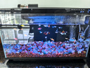 米家（MIJIA）智能生态鱼缸定时喂食智能鱼缸+画法几何增氧泵套装 实拍图