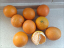 【热销】湖北秭归脐橙鲜果上市 带箱9斤65-70mm 实拍图