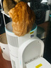 霍尼韦尔（Honeywell）【papi酱同款】宠物猫用空气净化器吸猫毛除甲醛过敏源杀菌消毒霍哈宝H-Cat Hub家电国家补贴 实拍图