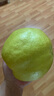 隰县玉露香梨 【顺丰现货】整箱香梨当季水果山西隰县小西天特产 孕妇水果送礼 6粒巨无霸（净重约7.5斤）110+mm 实拍图
