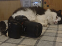永诺（YONGNUO） YN50mm F1.8适用于索尼口适用于尼康口微单大光圈自动对焦镜头 YN50mm F1.8S 索尼E口全画幅 实拍图