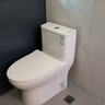 九牧（JOMOO）11173-2-1/31KB-3大力神普通马桶家用虹吸抗菌节水坐便器305坑距 实拍图