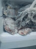 Heiai家用冰箱小型一级能效双开门冷藏冷冻保鲜小户型租房三开门升级微冻室低音降噪大容量 【租房优选】58升-58S138上冷冻下冷藏 实拍图