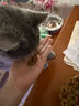 海洋之星 低温烘焙猫粮 全价成猫幼猫粮试吃50g鸡肉三文鱼 实拍图