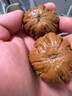 梦庭纳米文玩刷清理刷核桃橄榄核手串耐磨鞋刷上色包浆打底【绿如意】 实拍图