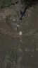 科固（KEGOO）K06044 花洒软管 1.5米不锈钢淋浴喷头莲蓬头防爆防缠绕水管 实拍图