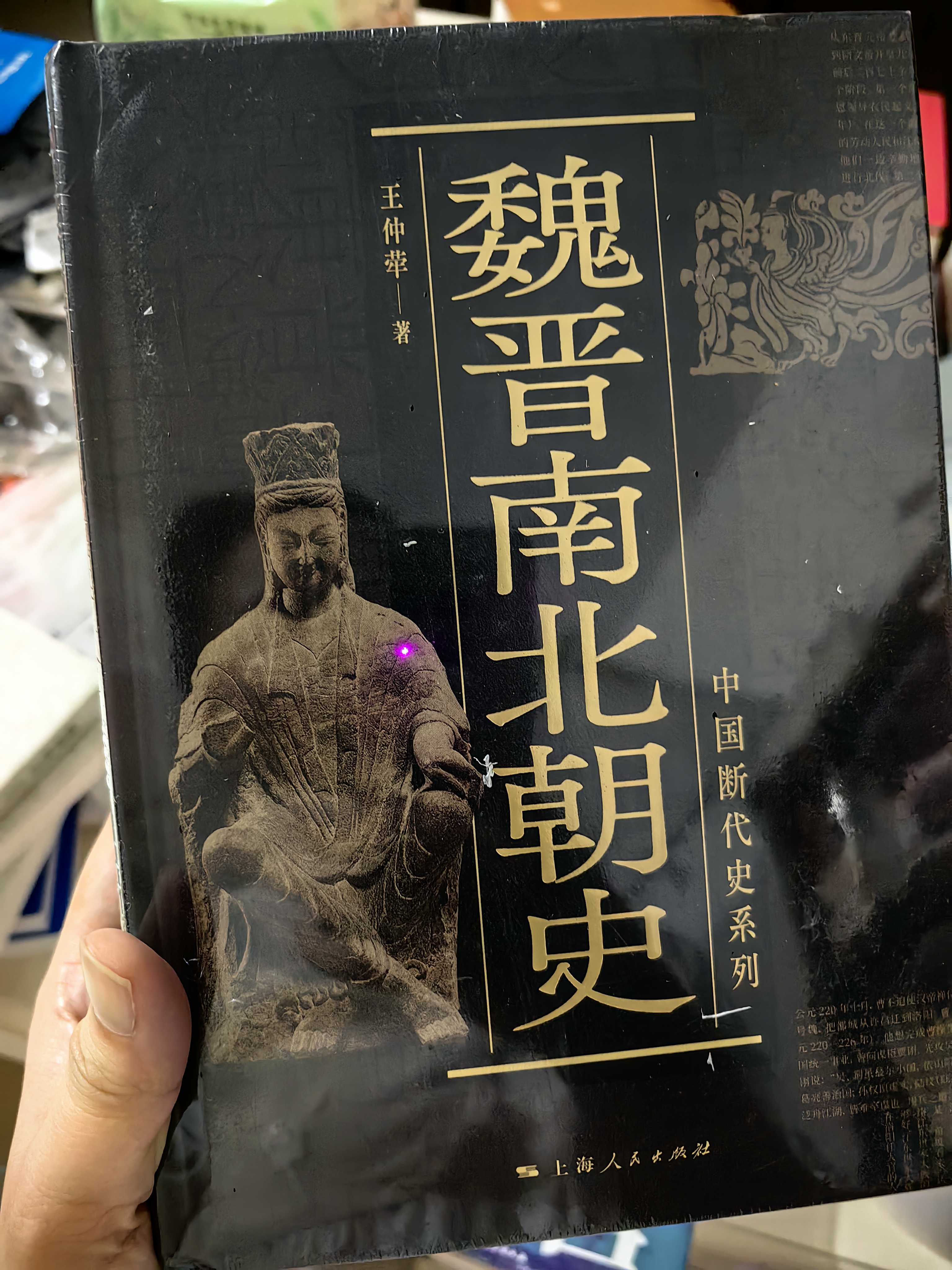 马可波罗行纪 实拍图