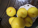 黄桃新鲜水果时令应当季整箱桃子大果黄金蜜蒙阴蜜桃脆桃包邮无毛 五斤【净重4.5斤】 实惠装【单果75-125g】 实拍图