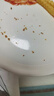 金路易美食艺术家 无骨鸡柳 原味 1斤500g 油炸原味香酥半成品 空气炸锅食材夜宵 实拍图