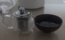 金灶（KAMJOVE）小容量迷你玻璃花茶壶泡茶壶飘逸杯茶道杯过滤茶具小茶壶一人用 AM-713（150毫升） 实拍图