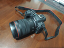 佳能（Canon）佳能r6二代 全画幅微单数码相机 R62 24-105变焦镜头 摄影摄像 高清直播 旅行拍照  扫街旅拍套装 实拍图