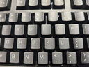 双飞燕（A4TECH） KB-8PS2 键盘 有线键盘 办公键盘 防溅水 PS2接口台式机专用 黑色 实拍图
