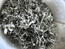尔娅贝龙须莓茶张家界野生正品湖南张家界土特产特级藤茶正宗芽尖莓茶 商家限时补贴最后00:03:24 头茬牙尖梅茶[500克四罐] 实拍图