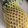 金钻凤梨手撕小凤梨新鲜热带水果生鲜水果金钻非菠萝源头直发 【2个】单果400-650g 实拍图