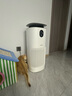 东芝（TOSHIBA）宠物空气净化器猫用除醛除臭狗用大白梨PET大风量吸浮毛除过敏原等离子消毒杀菌异味【国家补贴】 实拍图