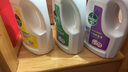 滴露（Dettol）衣物除菌液 松木3L 内衣服儿童杀菌除螨 衣服消毒液 实拍图