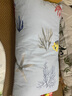 安睡宝（SOMERELLE） 进口七孔纤维枕头全棉A类抗菌酒店护颈椎枕芯睡眠枕靠枕可水洗 进口七孔少儿枕+枕套35x60 单只 一只装 实拍图