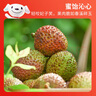 京鲜生 广东妃子笑荔枝 净重4.5斤 单果20g+ 生鲜水果 实拍图