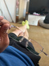 菲尔渡边钻石切边无框眼镜男士高度可配超轻钛架近视配成品高度数福音Q7 钛架+1.67超薄渐进色非球片 实拍图
