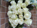 云南鲜花批发品质玫瑰百合水养鲜切花送女友生日礼物源头直发 香槟（蜜桃雪山）-10支 【任选2件—不收运費】 实拍图