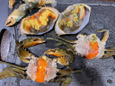 【活蟹】掌昕鲜三门青蟹 全母蟹（5-6两/只）3只 海鲜活螃蟹水产端午节送礼盒源头直发 实拍图