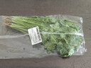 带根香菜100g 实拍图