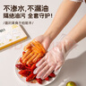 双枪（Suncha）一次性手套TPE食品接触级加厚厨房烘焙【L-100只】 实拍图