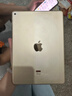 Apple苹果 iPad Air1/Air2/Air3 迷你mini2/4/5 二手平板电脑ipad iPad Air2 16G WiFi版 9成新 实拍图