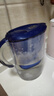 碧然德（BRITA） 家用滤水壶 净水壶滤芯 Maxtra 多效滤芯 3枚装 实拍图
