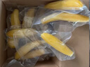 燕之坊&京觅联名款金玉红薯3斤板栗番薯地瓜早餐 无皮鲜食辅食代餐健身 实拍图