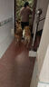 麦富迪狗粮 乖宝乐10kg 成犬中大型小型犬通用（牛肉蛋黄）金毛泰迪柯基 实拍图