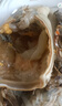 渔游记印尼小青龙虾 1.2-1.6斤/2只 超大龙虾 花龙海鲜水产大虾虾类 实拍图
