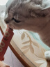 多特思（DOTUS）主食零食羊奶猫条8口味混合110支桶装进口新西兰羊奶 实拍图