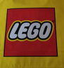 乐高（LEGO）积木拼装10280 花束永生花男孩女孩玩具生日礼物 实拍图