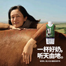 辉山谢添地黑土A2β-酪蛋白纯牛乳250ml×10盒  综艺同款 高端礼盒  实拍图