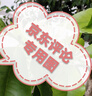 水之密语（AQUAIR）净润臻养(控油型)洗发露600ml蓬松滋养男女士洗发水 实拍图
