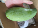 京鲜生 云南大青芒 净重9斤装 单果300g起 生熟两吃 生鲜水果 源头直发 实拍图