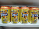 康师傅 冰红茶can 310ml*24听 茶饮料小罐整箱装 实拍图