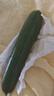 水果小黄瓜无刺黄瓜新鲜水果蔬菜现采现摘凉拌生吃整箱包邮 水果小黄瓜（自然成熟） 带箱1斤（尝鲜款） 实拍图