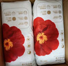 宜婴弱酸红山茶花4XL56片+2片拉拉裤超薄小内裤【品牌直供 安心品质】 实拍图
