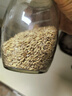 阴山优麦内蒙古全胚芽有机燕麦米五谷杂粮有机米杂粗粮米饭全麦米当季新粮 【非有机】全胚芽燕麦米 500g*4袋 实拍图