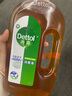 滴露（Dettol）洗衣消毒液衣物消毒水750mL除螨 家居宠物地板杀菌 非84酒精 实拍图