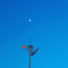 好效期至2027年6月30日】龙虎人丹0.04g*60粒/盒开窍醒神 祛暑化浊 和中止呕 用于中暑头晕 恶心呕吐 腹泻及晕车 晕船 实拍图