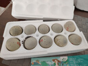 鄱湖鸭舍 无铅松花蛋皮蛋溏心松花皮蛋无铅工艺变蛋厂家麻鸭蛋批发 60-70克/枚【10枚-优惠】 实拍图