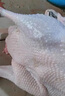 三个小厨全自动家禽拔毛器电动去鸡鸭鹅毛神器多功能防水充电加商用脱毛机 大功率至尊款/耐磨锥头/快速拔毛 实拍图