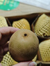佳沛（zespri）新西兰 阳光金奇异果12粒礼盒特大果单果约122-146g 猕猴桃 水果 实拍图