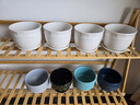 仟尚亿随机八个花盆陶瓷批发带托盘家用绿萝创意简约多肉植物小多肉花盆 随机4个中号14cm 中等 实拍图