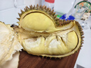 京鲜生 进口金枕头榴莲 2-4个装 总净重14斤以上 鲜果 生鲜 新鲜水果 实拍图
