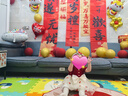 心楠女童衣服夏季薄款女宝宝一周岁礼服中式百天蓬蓬裙公主裙满月衣服 红色蝴蝶裙纱裙【适合18-22斤】 73 cm-80cm【建议身高】 晒单实拍图