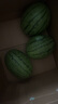 骄瑰 庞各庄西瓜小吊瓜礼盒 顺丰专线隔日达北京大兴牛奶冰糖西瓜水果 4颗精品装 人工精挑（11-12斤) 顺丰专线直发 晒单实拍图